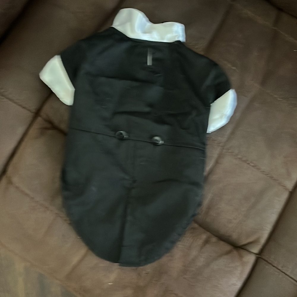 Dog tuxedo for small dog - Picture 2 of 2